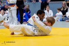 27.04.2025 Wachau JUDO Kids Cup